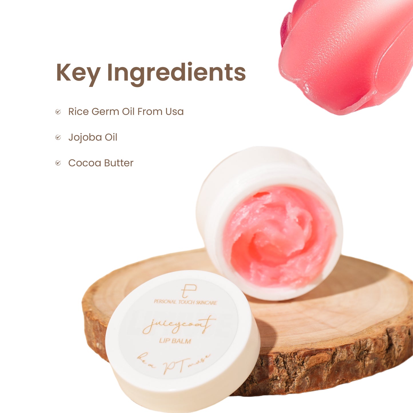 Juicycoat Lipbalm With Squalane | Jojoba Oil | Cocoa Butter | Rice Oil USA Patented